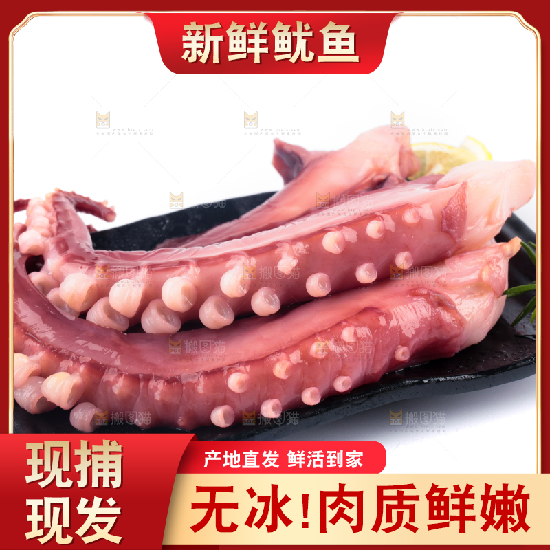 盘子里装着鱿鱼须