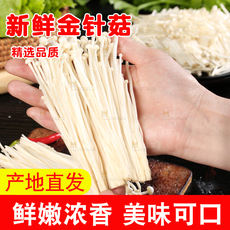 手拿新鲜金针菇