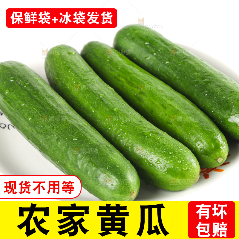 盘子里的无刺小黄瓜