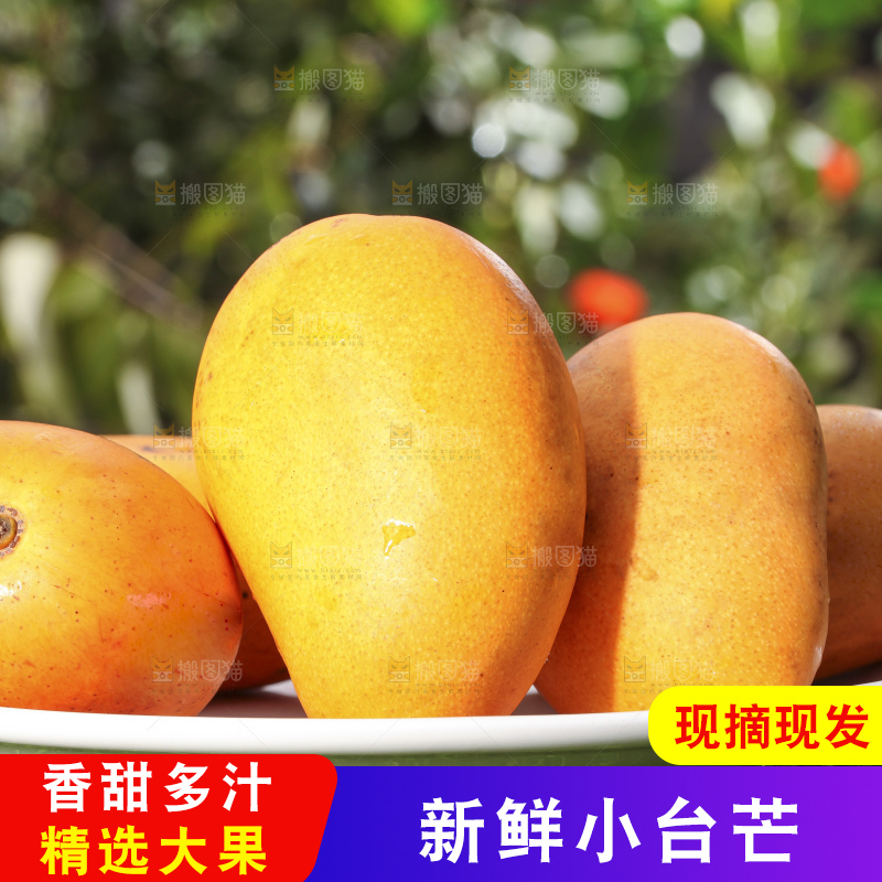 草地上放着一盘小台芒
