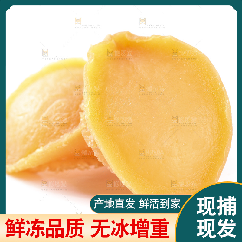 白底上的鲍鱼干