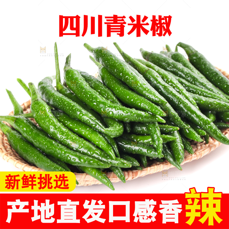 一盘新鲜的青小米辣放在白底上