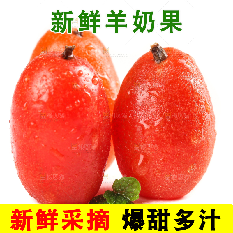 白底上放着新鲜羊奶果