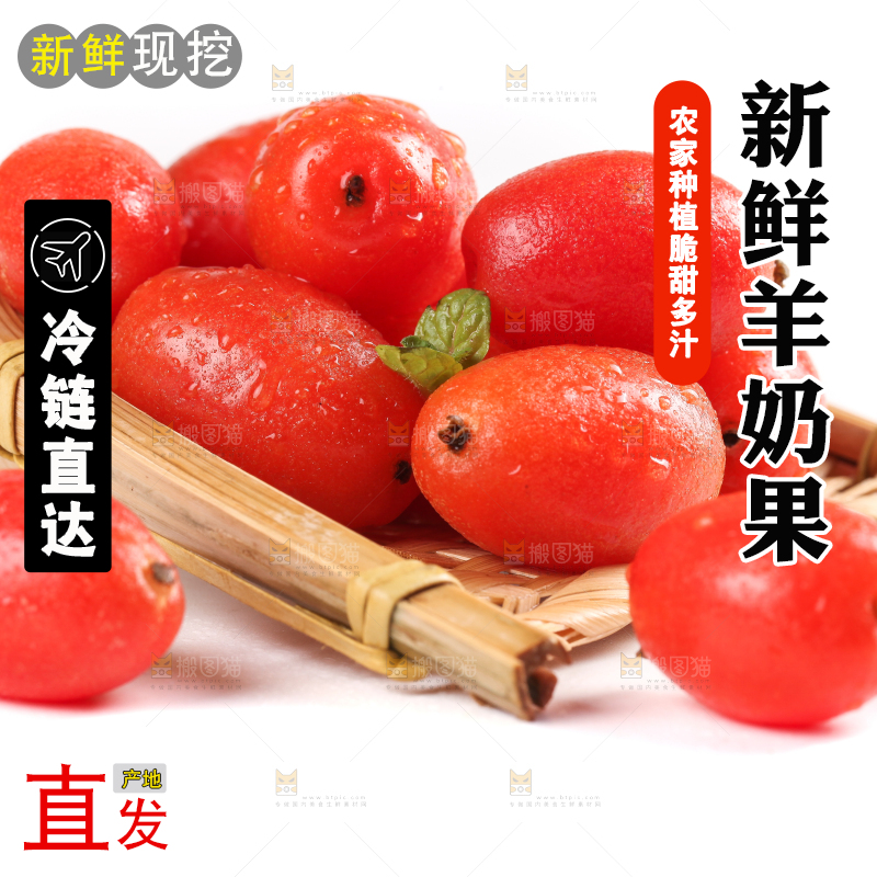 白底上放着野生羊奶果