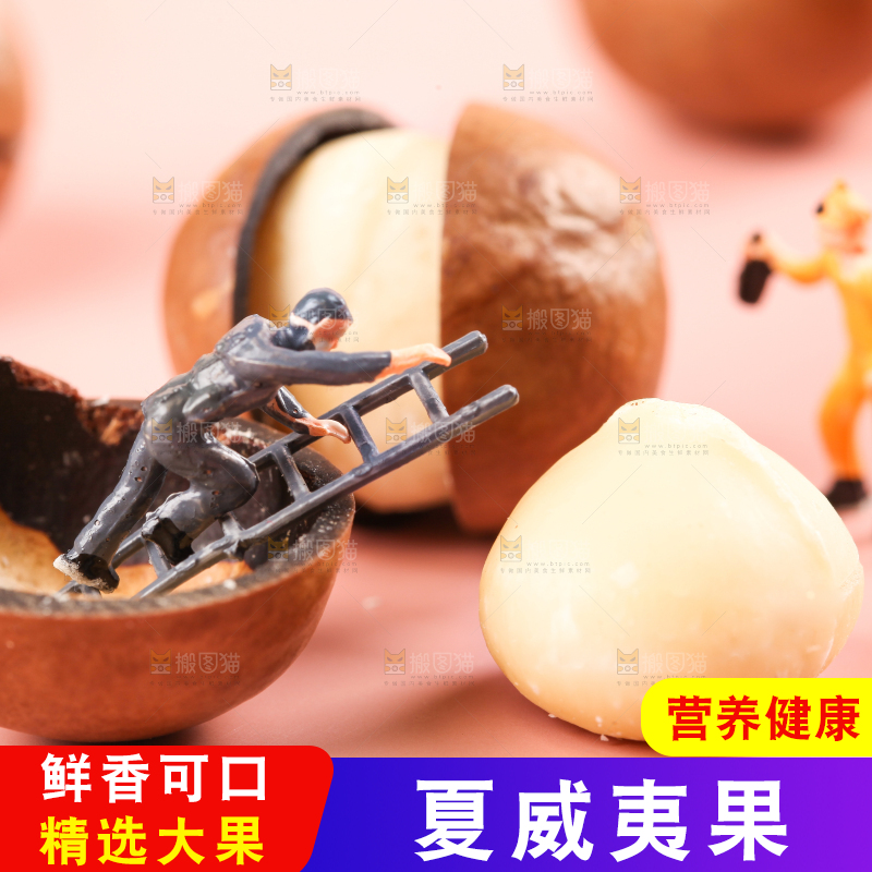 浅底上的夏威夷果