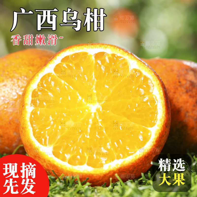 草地上放着切开的乌柑