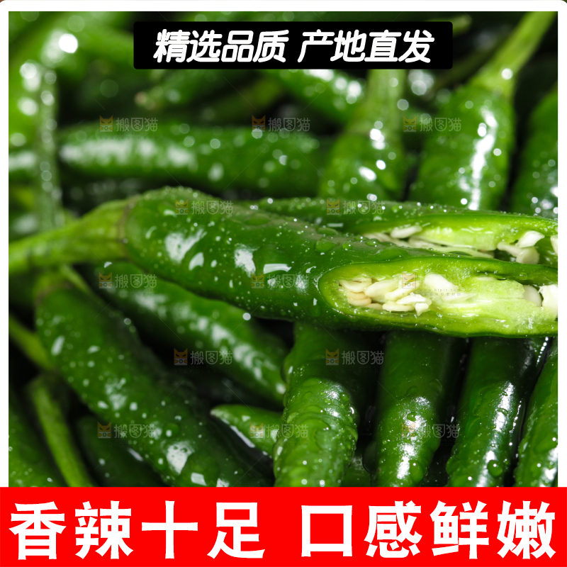 浅底上的青米椒