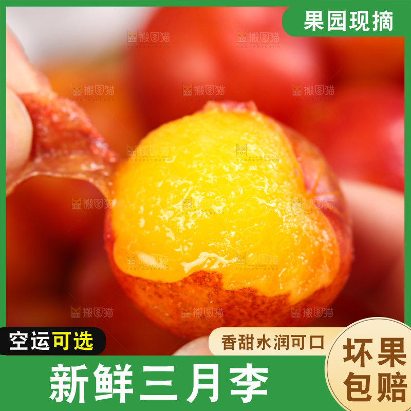 手里拿着新鲜李子