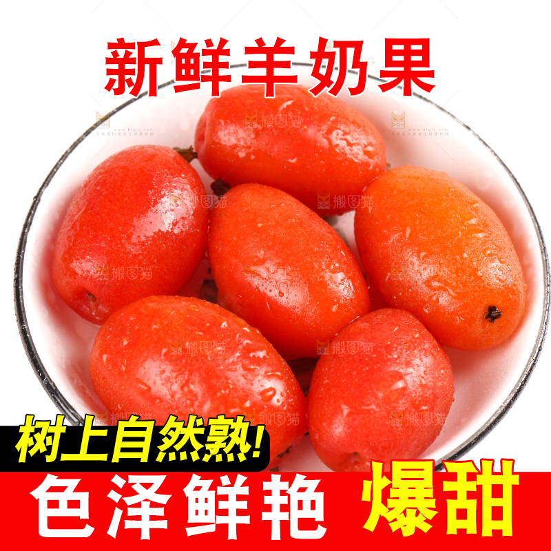 一盘新鲜的胡颓果放在白底上