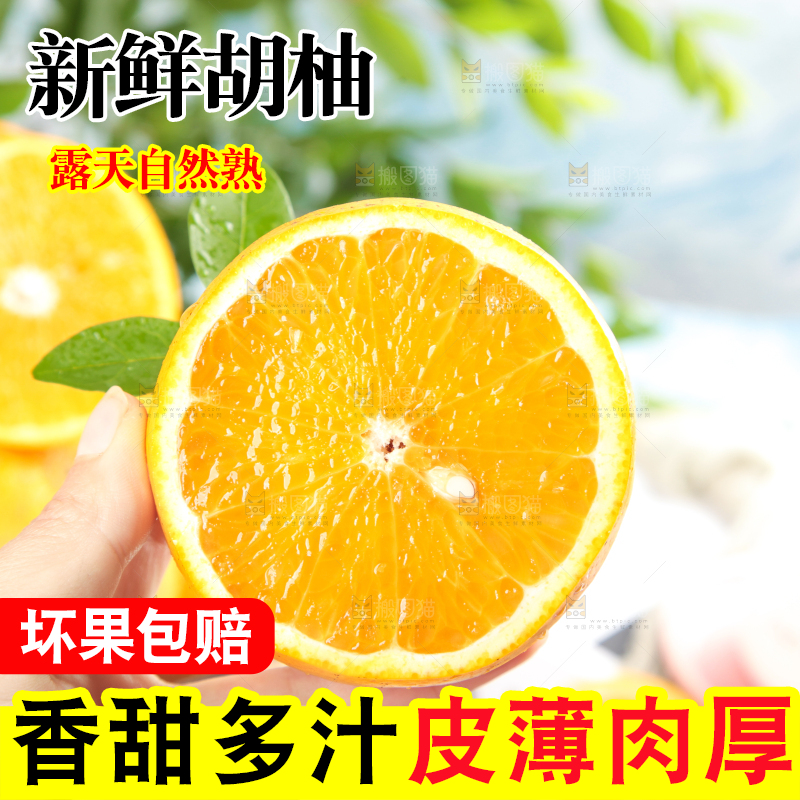 手里拿着新鲜胡柚