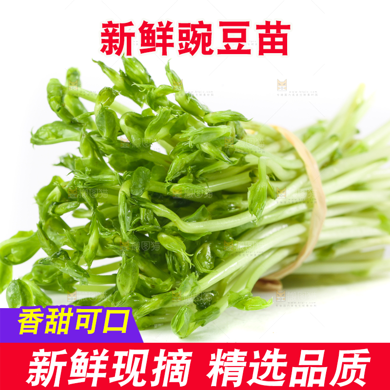 白底上放着豌豆芽菜