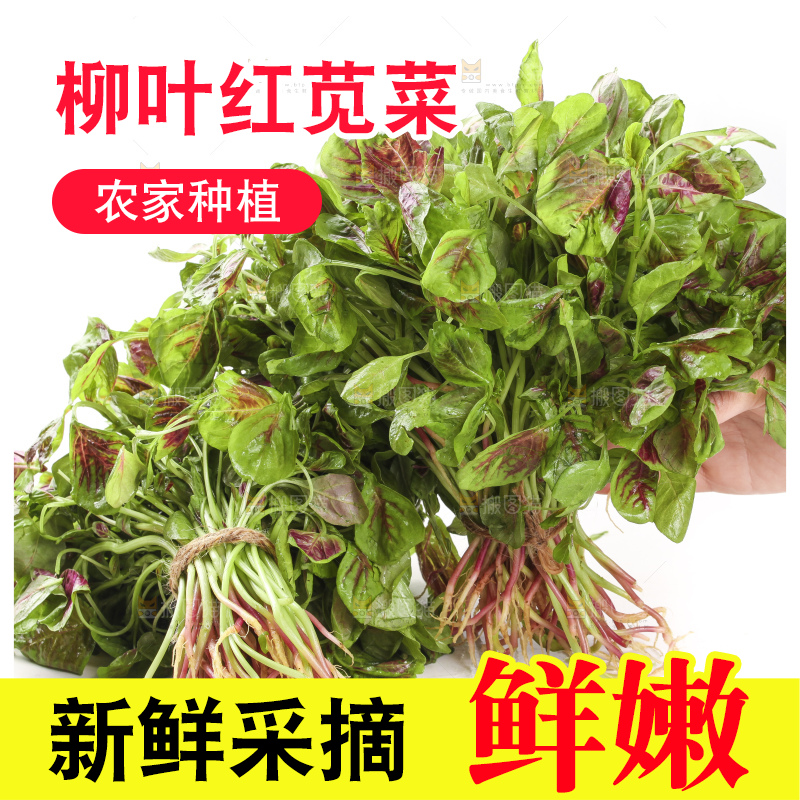 手拿红苋菜