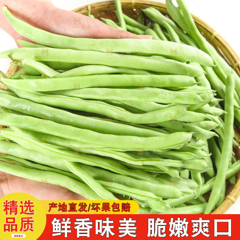 手里拿着鲜嫩四季豆