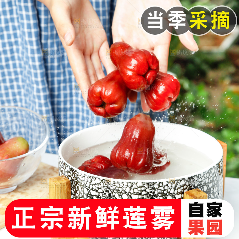 手拿新鲜黑金刚莲雾
