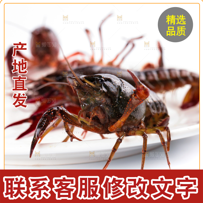 盘子里的鲜活龙虾