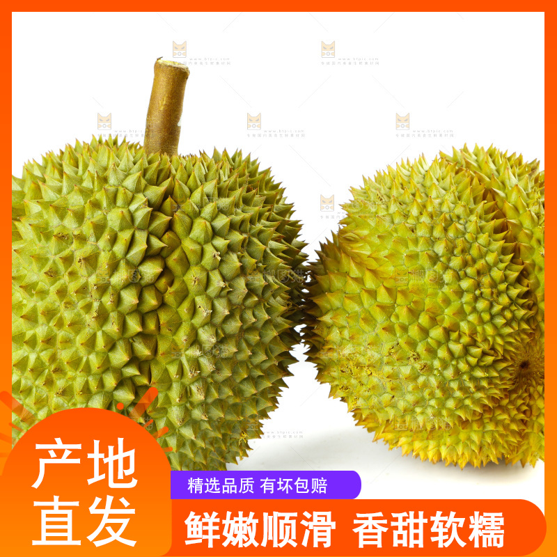 白底上的新鲜榴莲