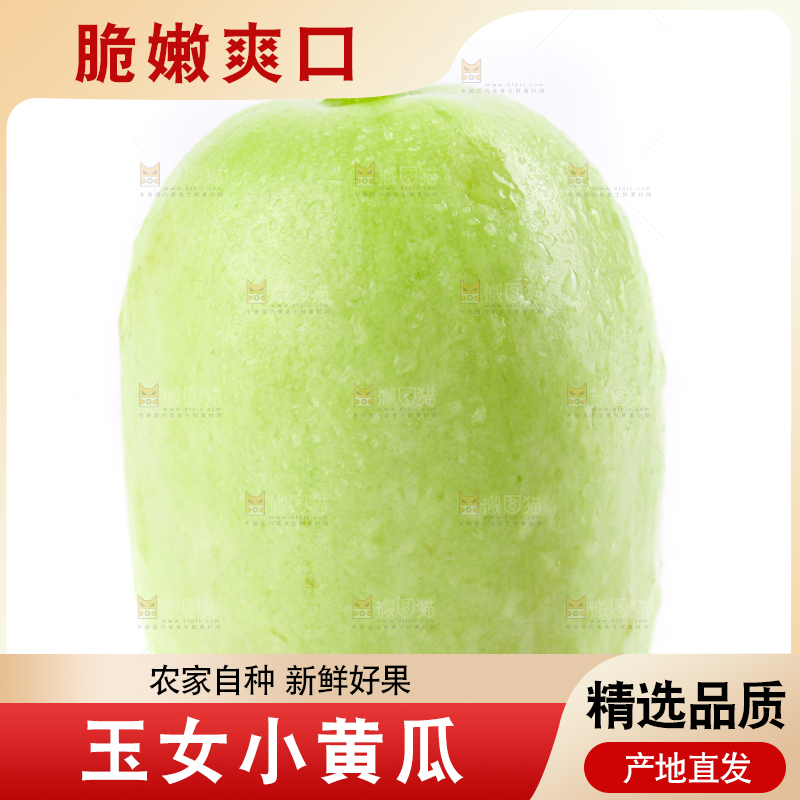 白底上的拇指小黄瓜