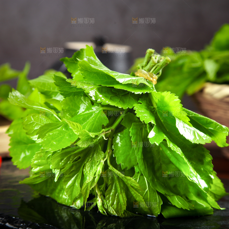 黑石板上放着桑树叶