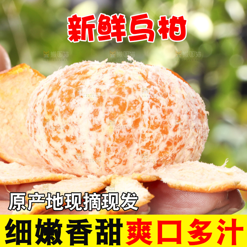 手拿剥皮的乌柑