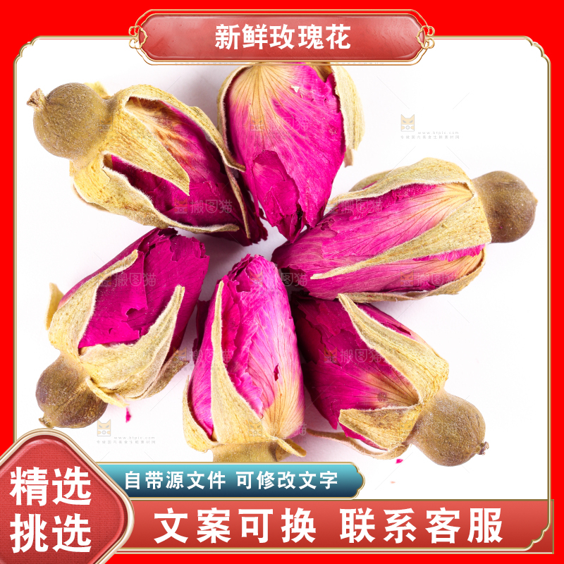 白底上的玫瑰花干