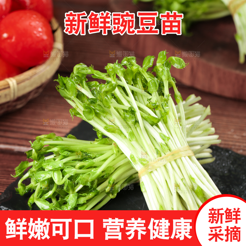 黑石板上的豌豆芽苗菜