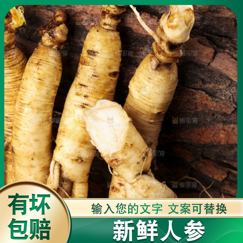 深底上的人参