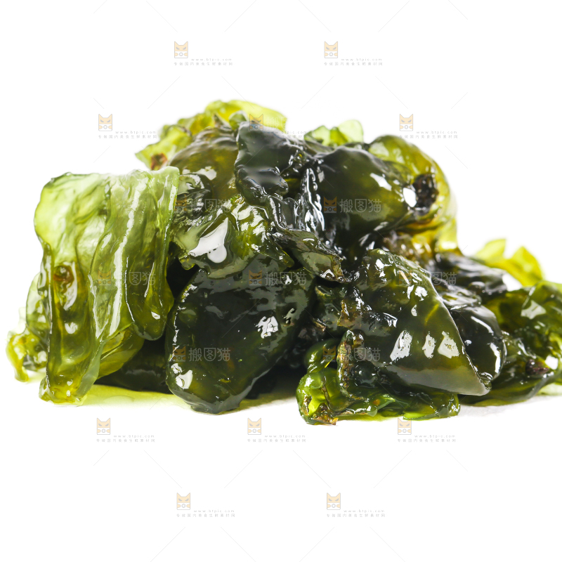 白底上的地皮菜