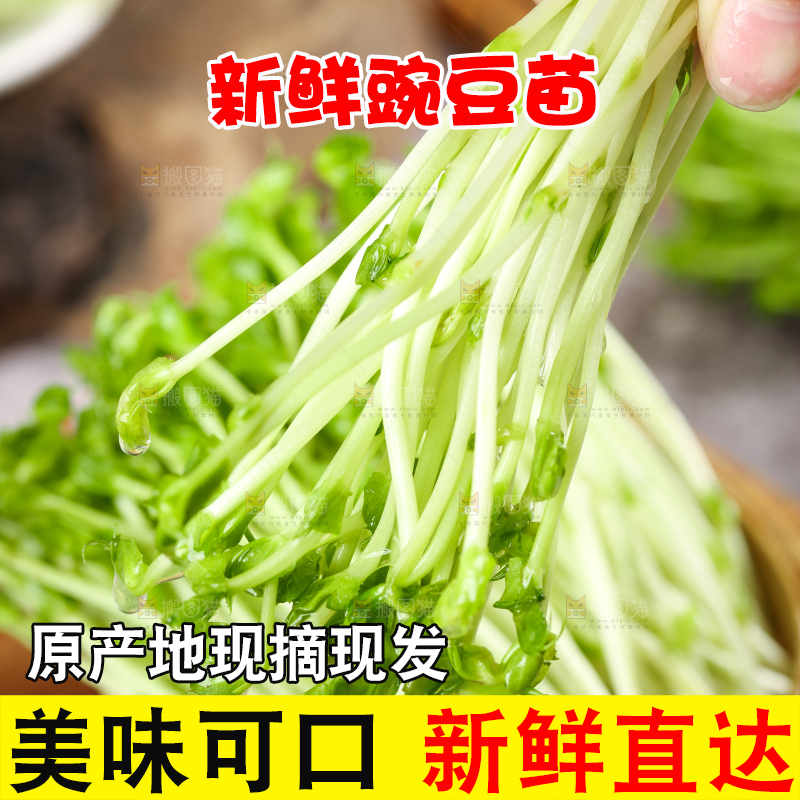 篮子里的豌豆芽苗菜