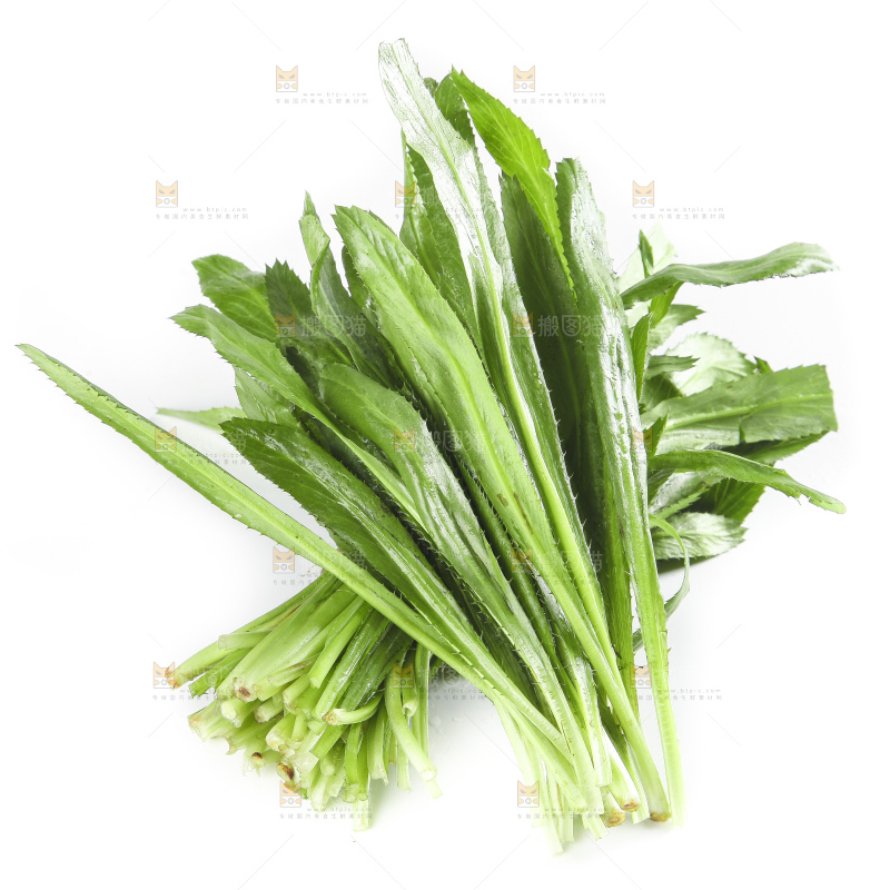 白底上的云南新鲜大香菜