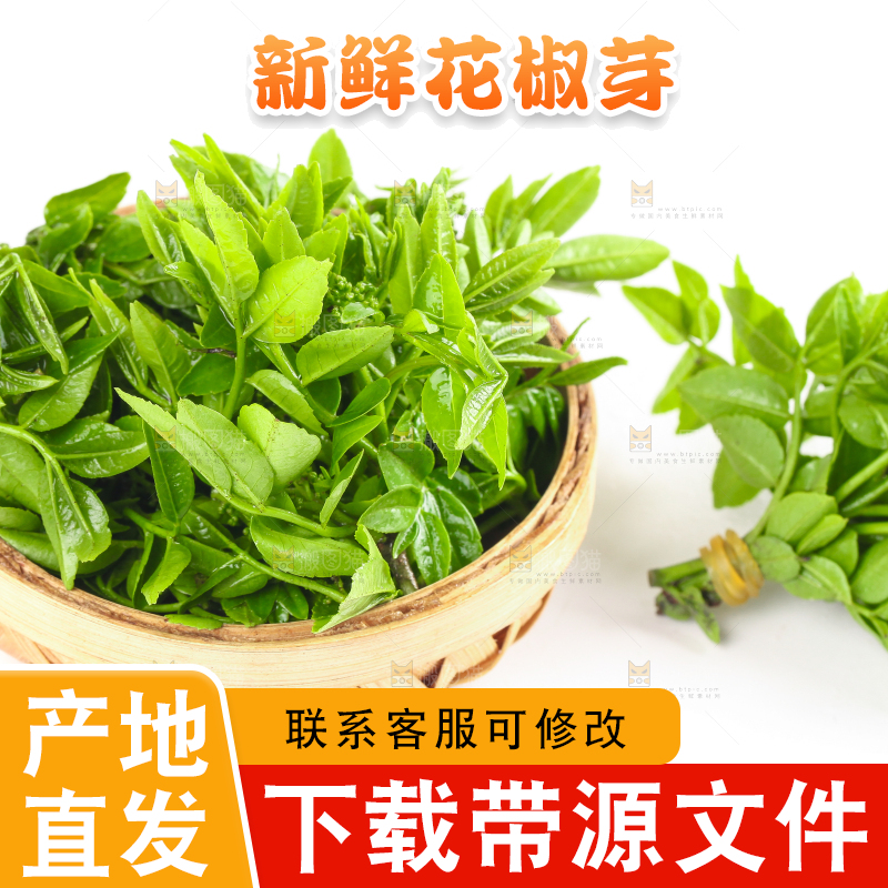 一筐野生花椒芽放在白底上