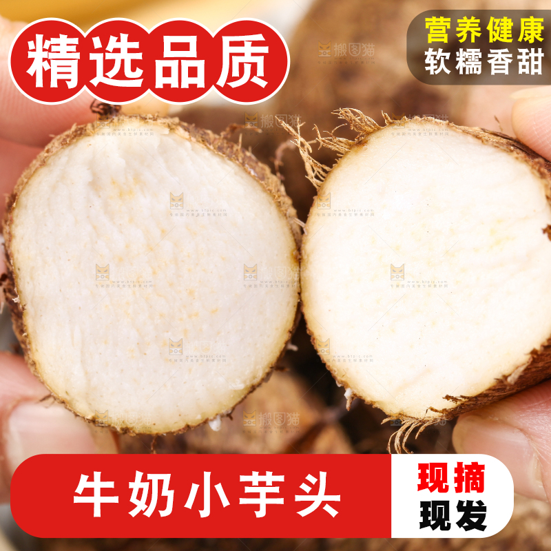 手里拿着新鲜小芋头