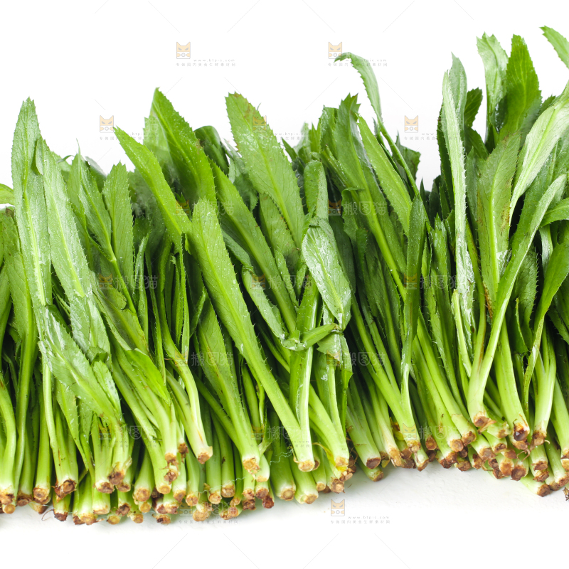 白底上的云南大香菜