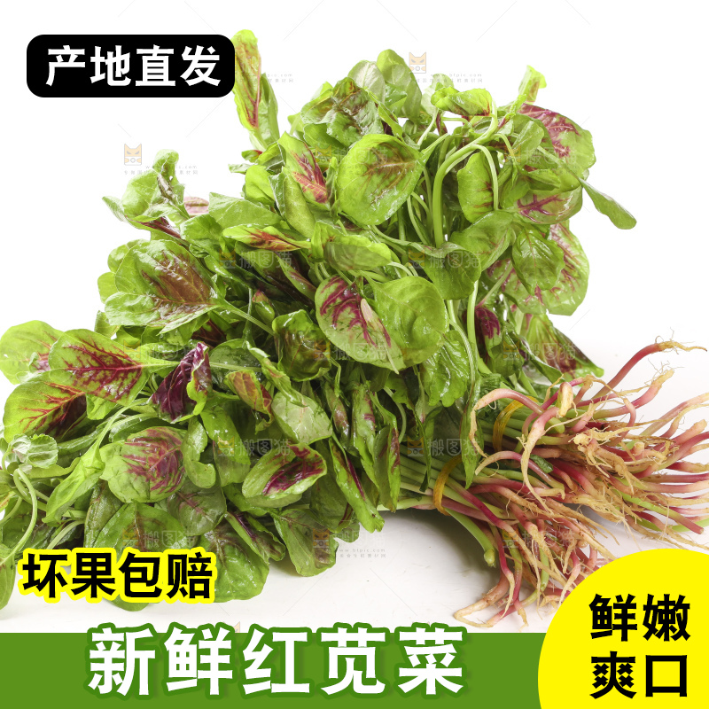 白底上的苋菜