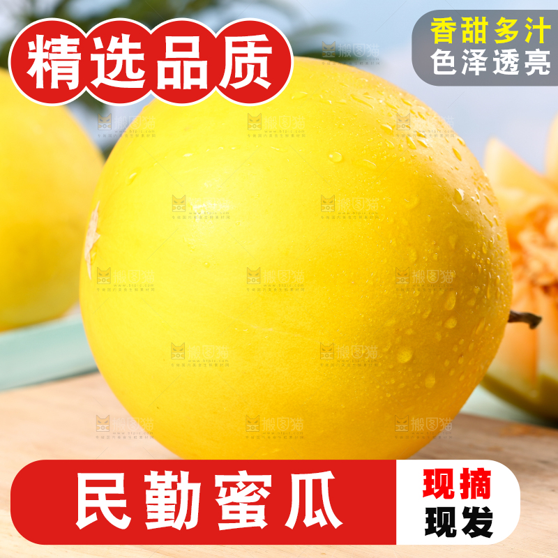 木底上的黄河密瓜