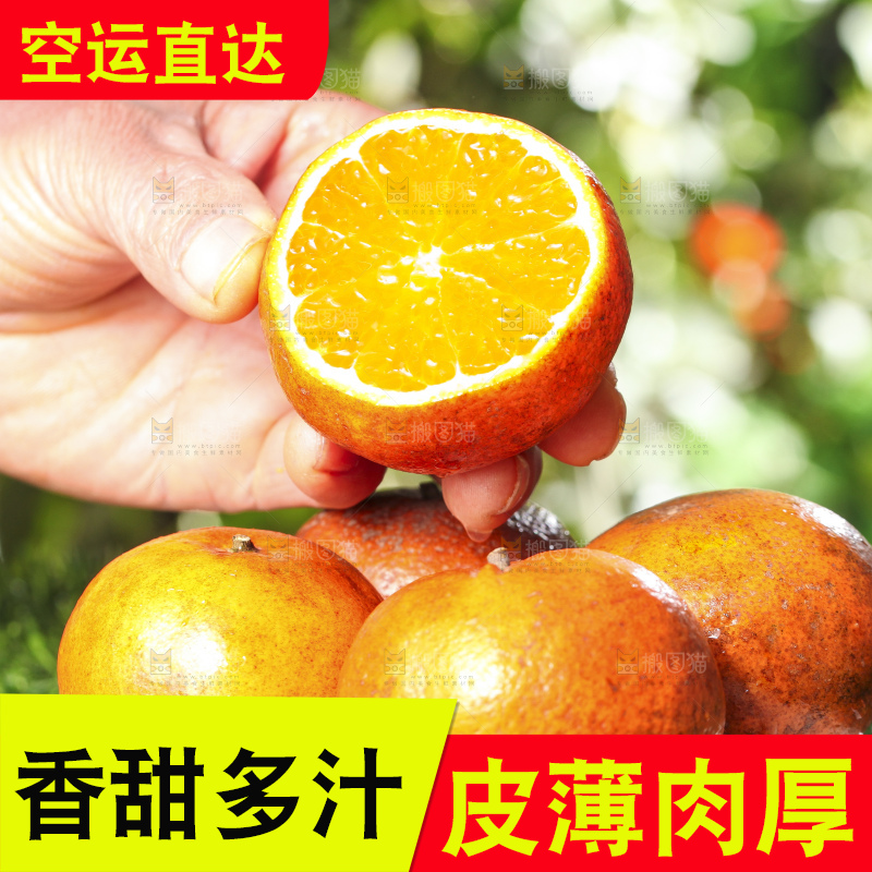 手拿切开的乌柑