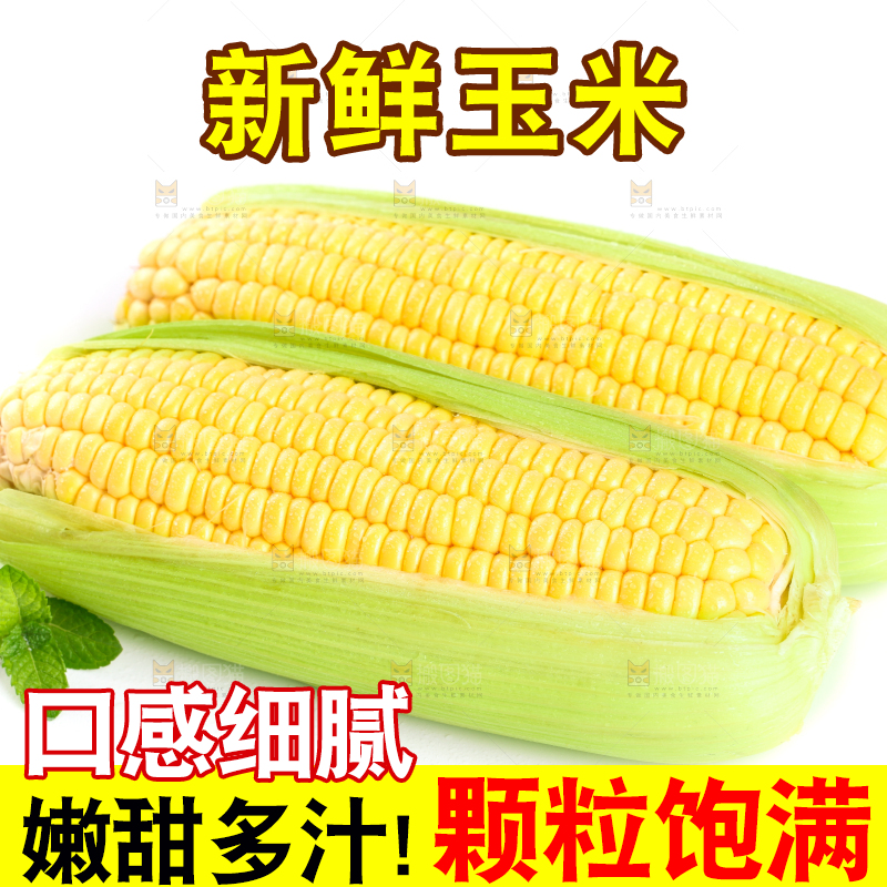 白底上放着黄玉米