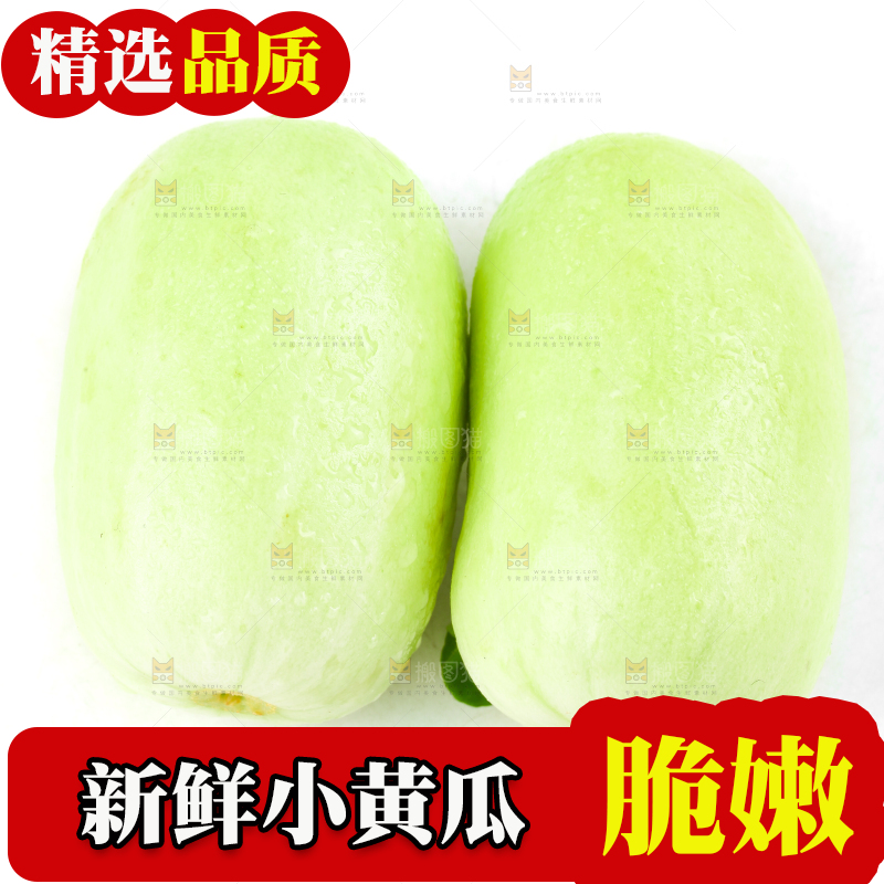 白底上的拇指小黄瓜