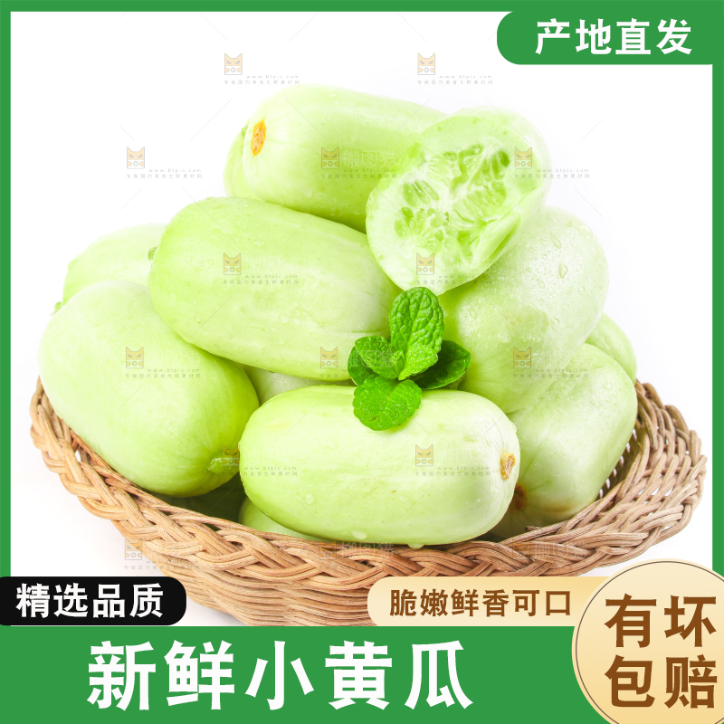 一筐玉女黄瓜放在白底上