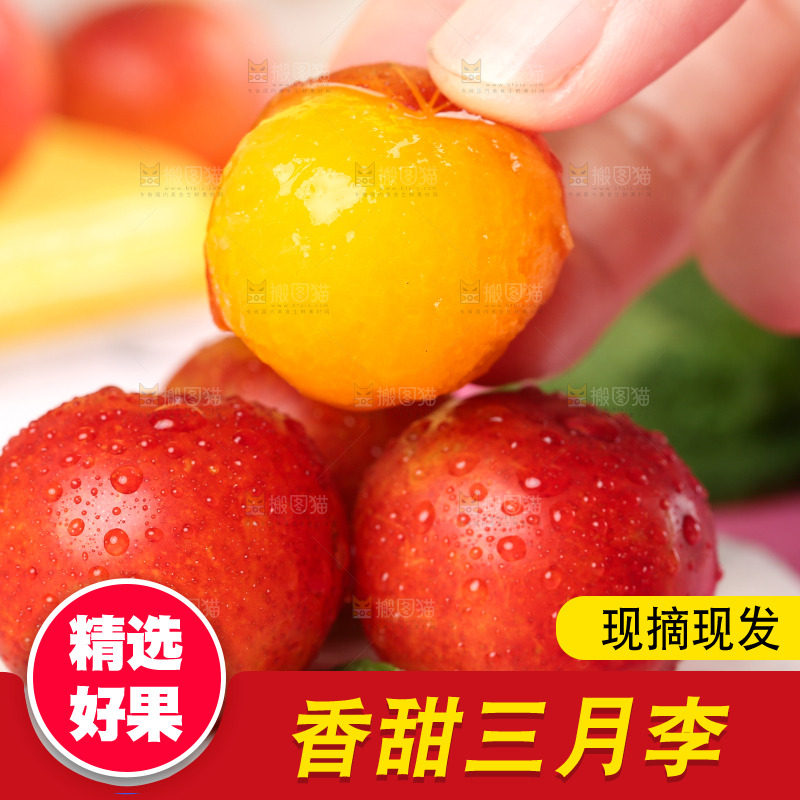 白石板上摆放着钱排三月李