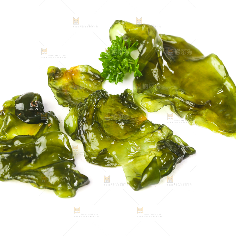 白底上的地皮菜