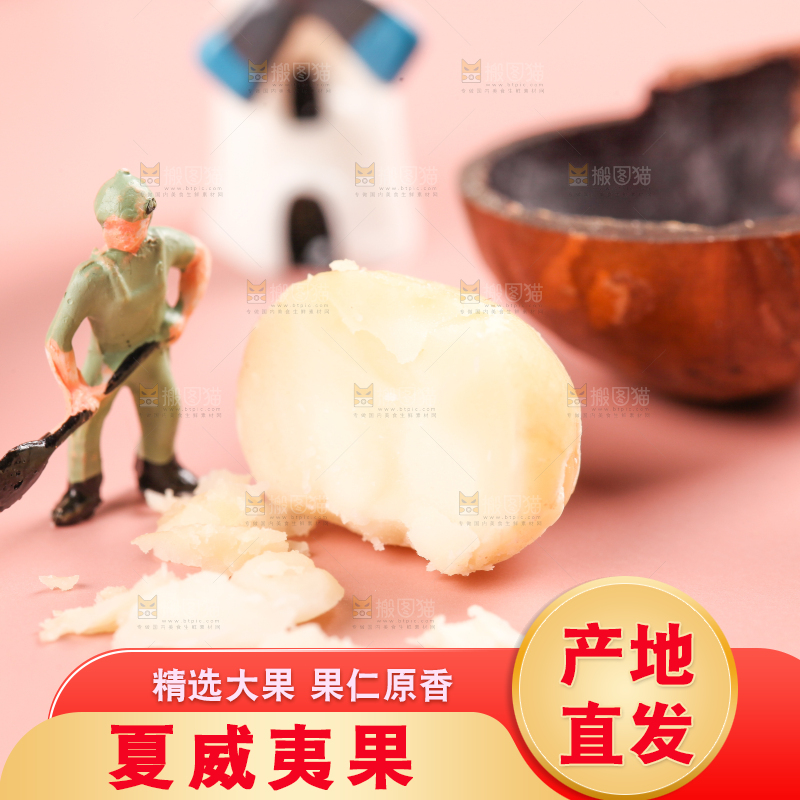 浅底上的夏威夷果