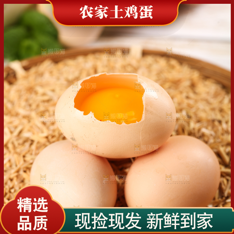 盘子里的散养土鸡蛋