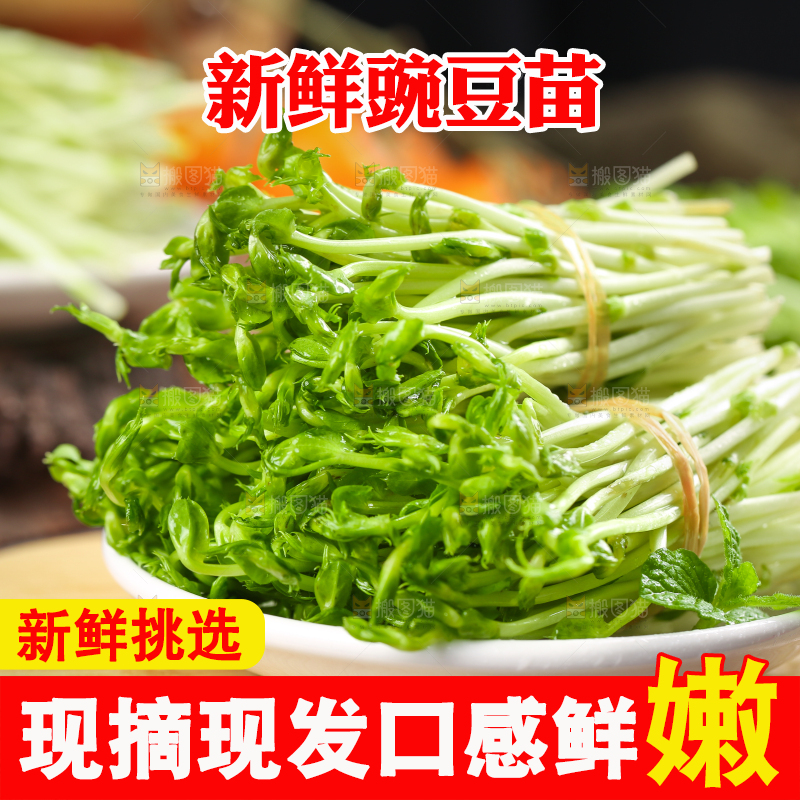 木板上放着豌豆芽