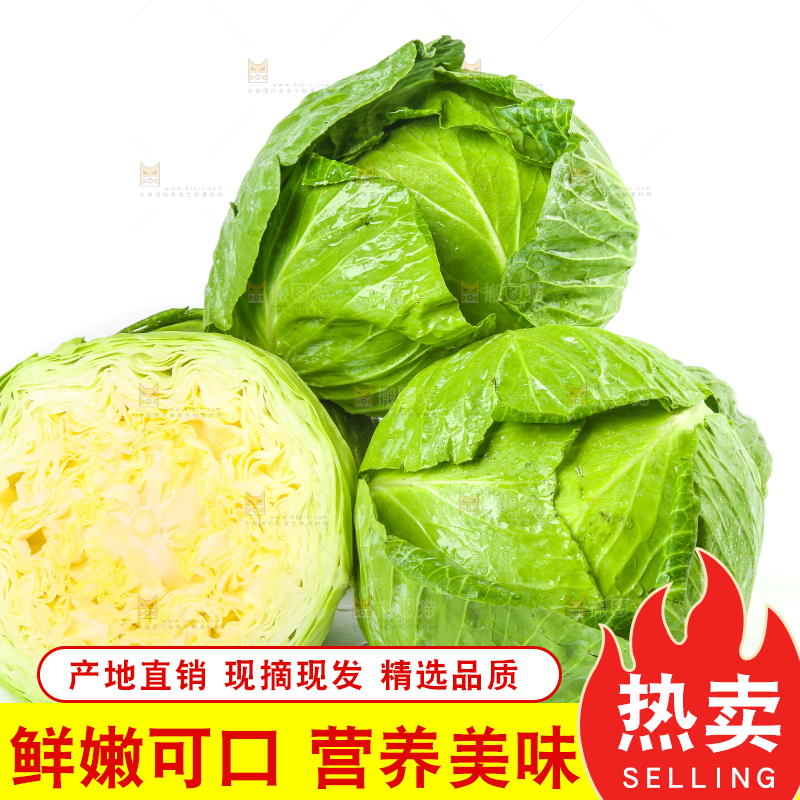切开的卷心菜放在白底上
