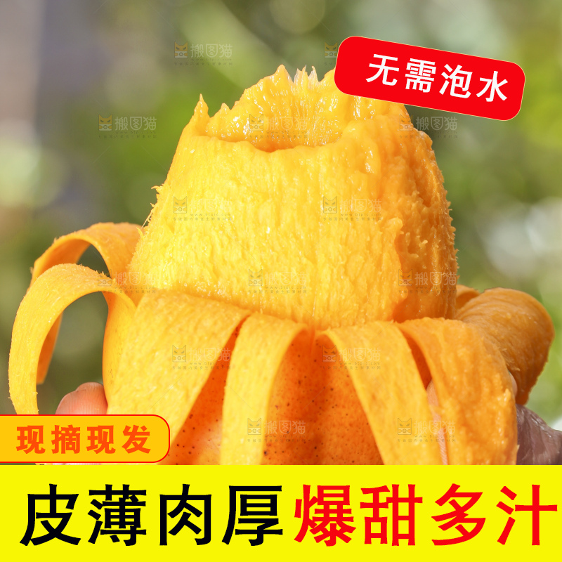 手拿剥皮的海南小台农芒果