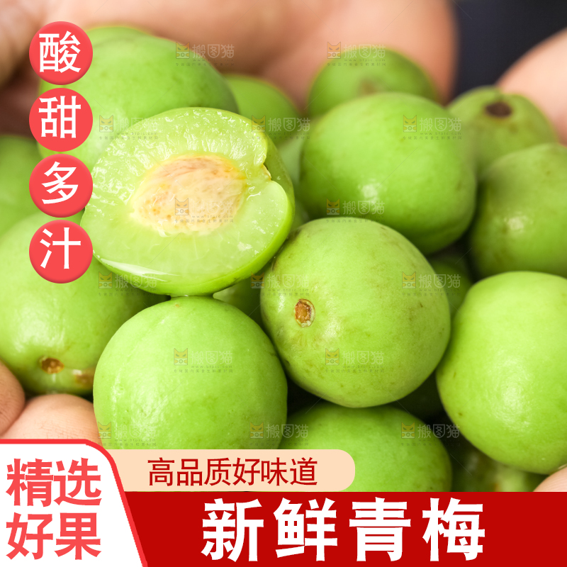 手拿新鲜青梅果