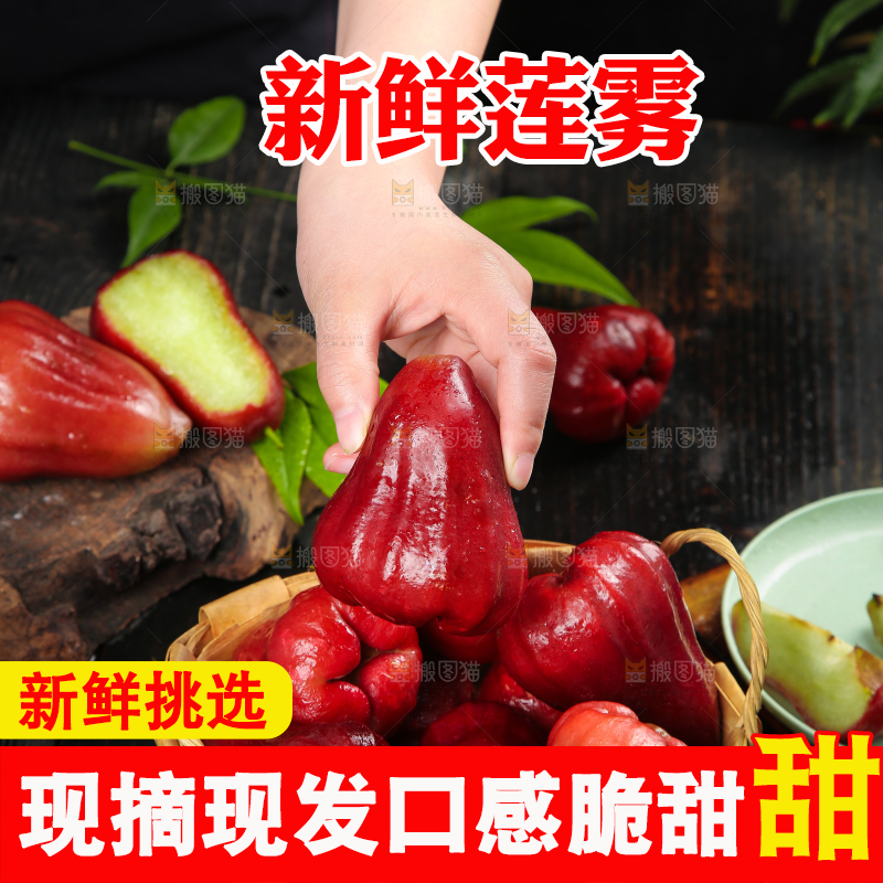 手拿新鲜莲雾
