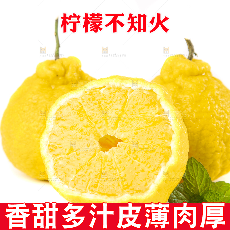 白底上放着四川柠檬不知火