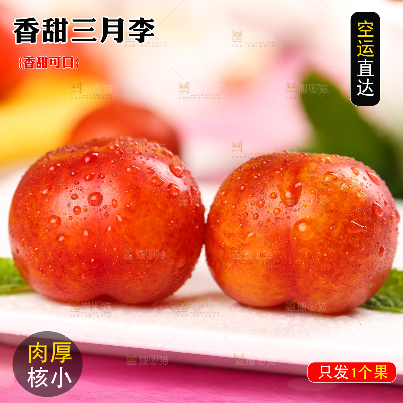 白石板上摆放着钱排三月李