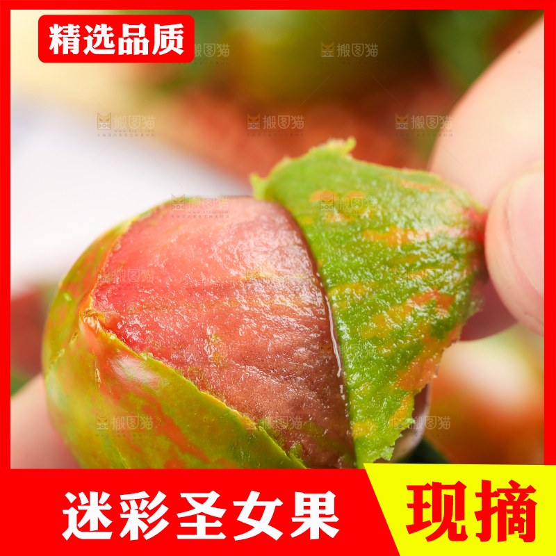 手拿剥皮的迷彩圣女果
